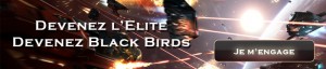 ad black birds squadron vox veritas